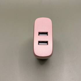 Wcb001dq Belkin Boost Charge Rose Gold Ac Adapter Dual Usb-a Ports 24 Watt/