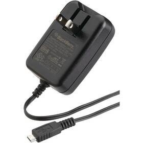 Blackberry 843163029156 New Original Micro-usb Wall Charger For Curve Pearl Torch Bold Storm