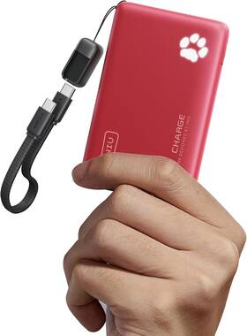 P41-e1 Iniu Portable Charger Ultra Slim 10000mah 45w Pd Power Bank Mini Size Red