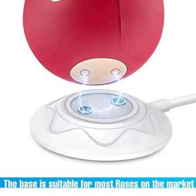 Rose Vibrator 313035569535 Usb Dock Style Charging Cable