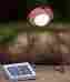 Sk-203 Greenlight Planet Sun King Mobile Solar Camping Lantern That Charges Your Phone Device 851438003060