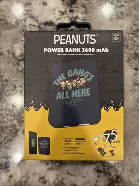 Snoopy 840070998384 Peanuts 75 Year Anniversary Power Bank Cell Phone Charger Inch The Gangs All Here