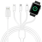 4 1 Watch & Phone Charger Cable, Multi Charging Cord, Fast Magnetic Usb. Fixed Price $25.95.