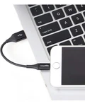 Amazonbasics 4IN Lightning To Usb Cable Mfi Certified Iphone Charger -2 Pack. Fixed Price $16.99.