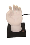 Mood Lamp Led Color Changing Human Hand Usb Charger Night Light. Fixed Price $60.00.