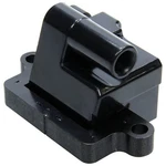 Allstar Performance ALL81402 Ignition Coil Pack - Ho Direct Fit Black D581. Fixed Price $39.99.