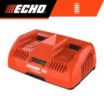 56V Dual Port Rapid Fast Charger With On-board Led Diagnostics And Ft. Power. Fixed Price $197.66.