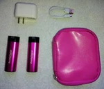 Readycharge 2600 Two Pack Travel Charger With Adapter, Cables And Zipper Case. Fixed Price $14.00.