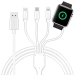 4 1 Watch & Phone Charger Cable, Multi Charging Cord, Fast Magnetic Cable.... Fixed Price $23.37.