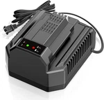 Rapid 4A Charger For Ego 56V Lithium-ion Batteries CH2100 CH3200 CH5500 CH2800D. Fixed Price $45.12.