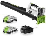 Leaf Blower Cordless With 2X2.0AH Batteries And Fast Charger 21V Grey & Green. Fixed Price $50.62.