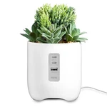 Ihome Faux Succulent With Charging Station. Fixed Price $39.99.