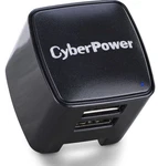 Cyber Power TR12U3A Usb Charger With Type Ports. Fixed Price $7.00.