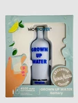 Mojipower Grown Up Water Battery 4500MAH Bank Charger. Fixed Price $15.29.