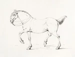 13107.WALL Decor Poster.room Home Design.jean Bernard Drawing Art.horse.equine. Fixed Price $35.00.
